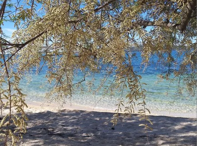 Apartman Bralic Bibinje